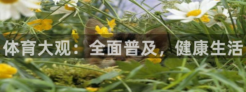 米兰体育官网下载平台注册要钱吗安全吗：体育大观：全面普及，健