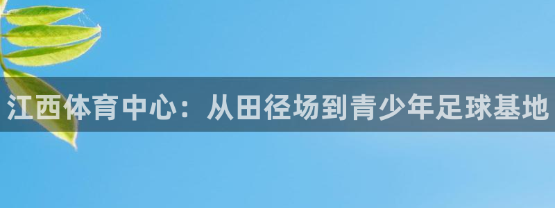 米兰体育官网下载平台APP