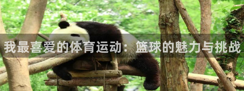 米兰体育官网下载招商电话号码是多少啊：我最喜爱的体育