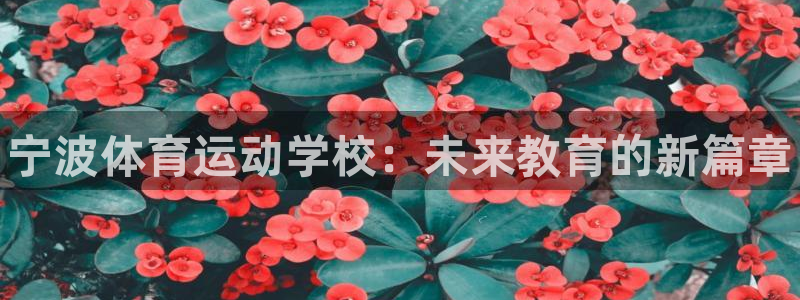 米兰体育官方正版app新能源：宁波体育运动学校：未来