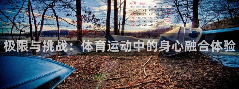 注册米兰体育官方正版app：极限与挑战：体育运动中的