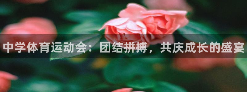 米兰体育官网下载招商电话：中学体育运动会：团结拼搏，