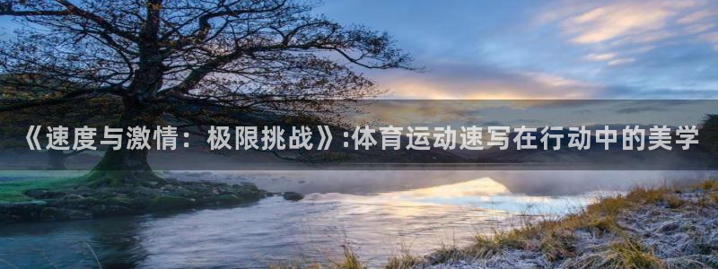 米兰体育官方正版app集团简介：《速度与激情：极限挑战》:体