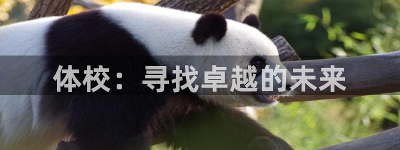 米兰体育官网下载平台是正规平台吗知乎
