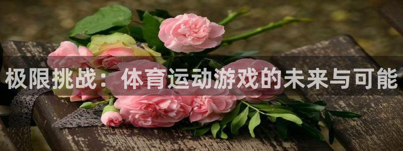 海南米兰体育官网下载发展怎么样：极限挑战：体育运动游