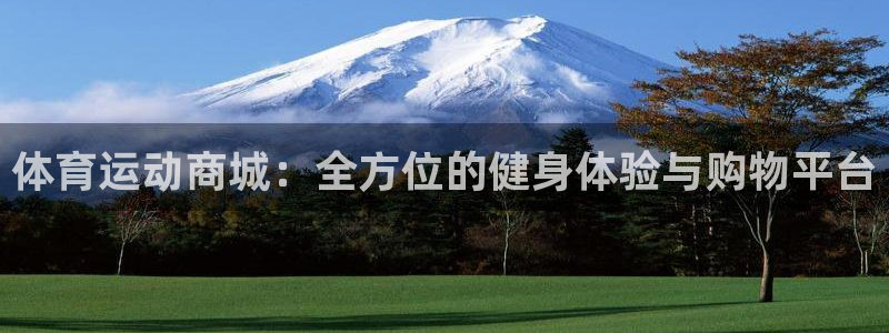 米兰体育官方正版app代理：体育运动商城：全方位的健