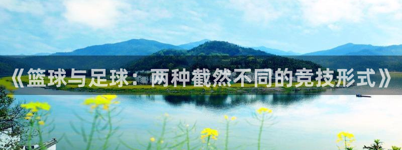 米兰体育官方正版app娱乐是那个系列的台子：《篮球与足球：两