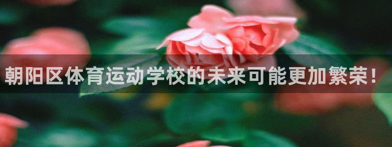 米兰体育官方正版app科技：朝阳区体育运动学校的未来