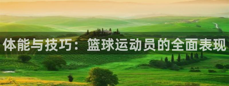 米兰体育官网下载平台是正规平台吗：体能与技巧：篮球运动员的全