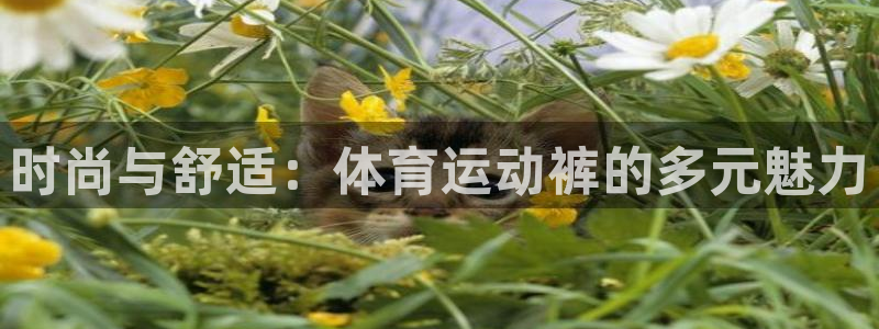 米兰体育官网下载平台注册流程图:时尚与舒适:体育运动裤的多元