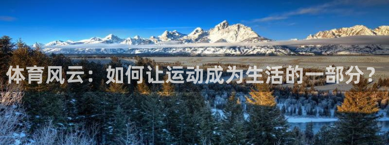 米兰体育官方正版app集团E.ON：体育风云：如何让