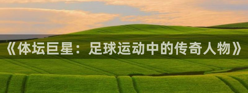 米兰体育官方正版app集团官网首页：《体坛巨星：足球运动中的