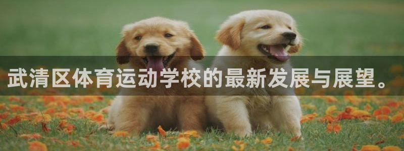 米兰体育官网下载平台注册流程视频：武清区体育运动学校