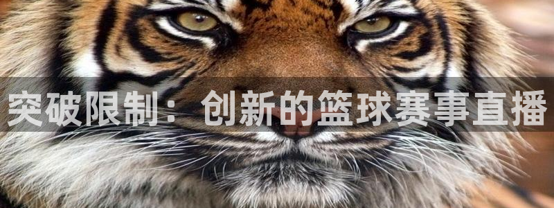 178体育赛事直播的平台