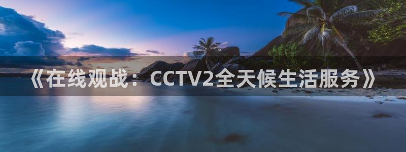 178体育直播在线观看：《在线观战：CCTV2全天候生活服务》