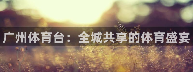 178篮球直播免费观看：广州体育台：全城共享的体育盛宴
