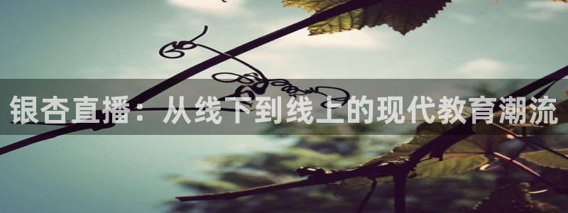 178篮球直播免费观看：银杏直播：从线下到线上的现代教育潮流